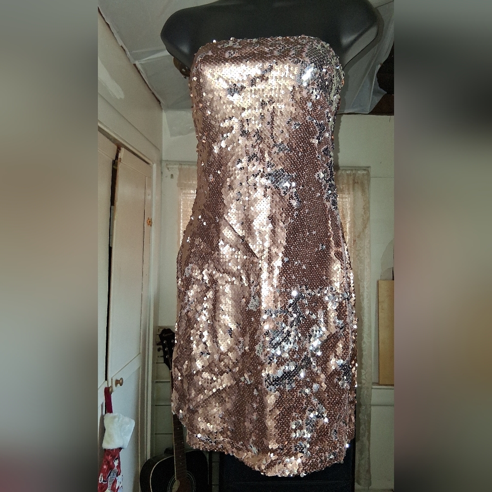 Strapless Sequin Dress in Silver & Gold